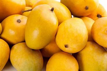 Alphonso Mango