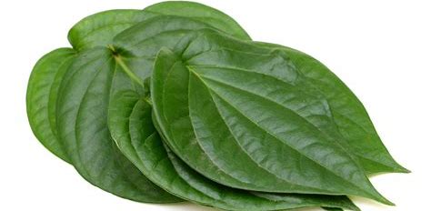 Betel Leaves